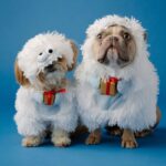 Funny Christmas
