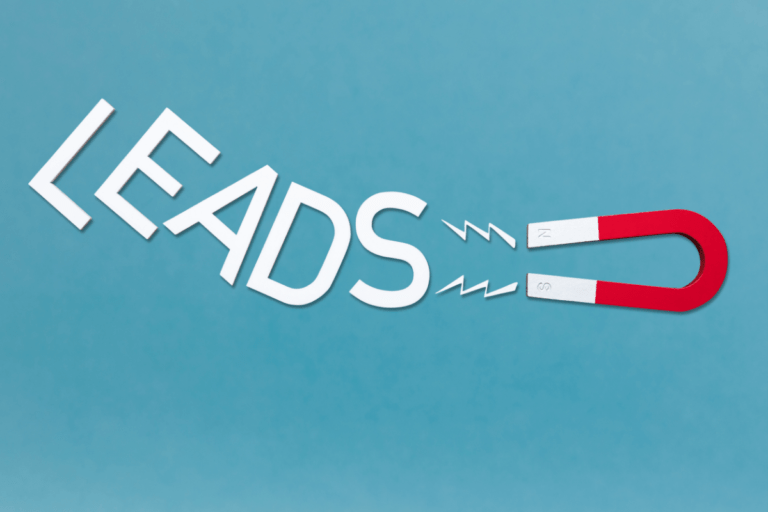 Lead Magnets For Authors - Writing Momentum